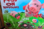 Pigs on Trampolines