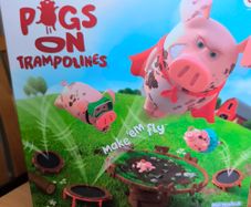 Pigs on Trampolines