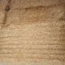 English or Irish Barley Straw Image 2