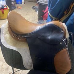 saddle