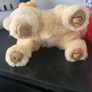 Toys dog Image 8