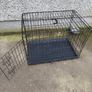pet Image 7