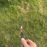 golf clubs Image 8
