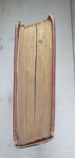 Antique Book: Beside The Bonnie Brier Bush by Ian Maclaren