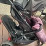 double buggy Image 5