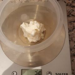 milk kefir grains