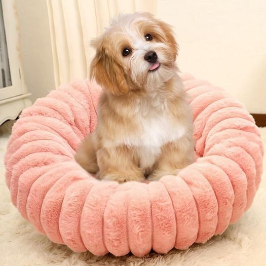 Small Dog Bed, Cat Bed, Washable Pet Soft Plush Calming Anti-Anxiety Donut Sofa with Anti-Slip Bottom for Dogs, Cats, Kittens and Puppies