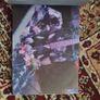 Smashing Pumpkins Zeitgeist Collector's Edition Image 6