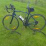 trek Domane AL 2 Image 7