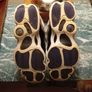 Jordan 6 Ring Trainers Image 4