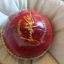 cricket ball Image 2