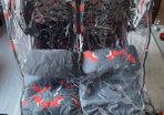 twin stroller cosatto
