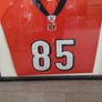 Poster Cincinnaty Bengals t shirt in frame Image 2