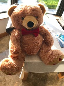 Large teddy
