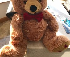 Large teddy