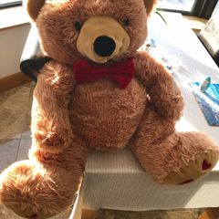 Large teddy
