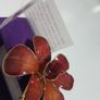 24K Gold Plating Real Orchid Brooch / Pendant A Nice Gift Image 4