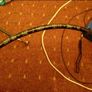 Ducati 848 Brake & Clutch OEM SS Lines Image 2