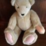 North American bear company family of bears Collectable Image 5