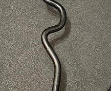 EZ Curl Barbell + Weights