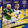Limerick hurling programmes Image 3