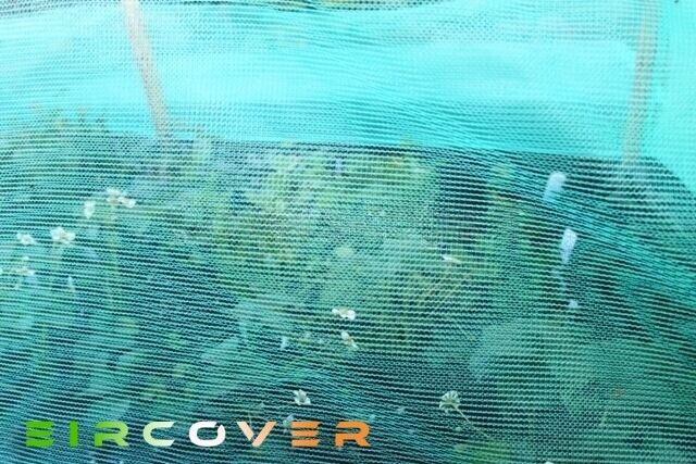 Windbreak Netting 2m x 20m (6'6''x 65'6'')