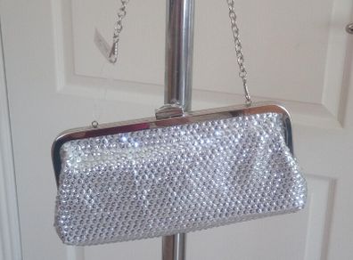 New Aldo Silver Clutch Bag
