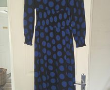 Dorothy Perkins Dress