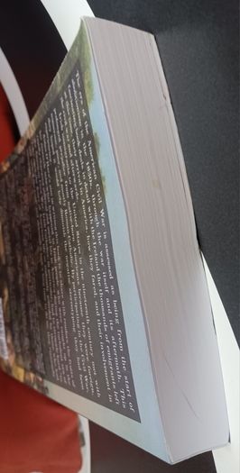 Aidan O' Hara / A Damm Yankee,Am I? Thanks!/ Portraits of the Irish in the era of the American Civil War/2022/ 1st edition