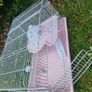 hamster rabbit cage Image 2