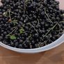 Fresh blackcurrants price is per kilo Image 2
