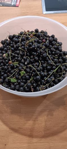 Fresh blackcurrants price is per kilo