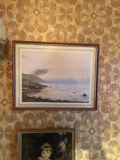 Framed vintage picture of coastal scene