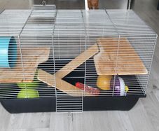 Cage