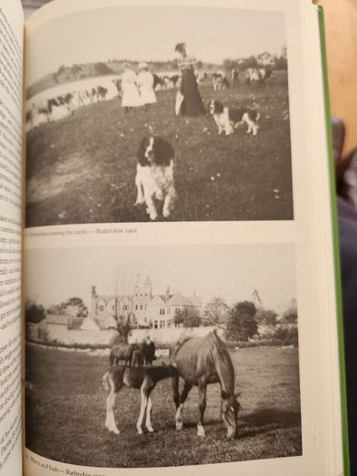 Umma-more. The Story Of An Irish Family in Moate Co Westmeath. By William Magan. First Edition Hardback With Dustjacket In Very Good Condition.