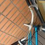 Brick Lane Bikes women's bicycle Image 2