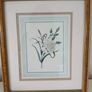 2 Vintage Framed Botanical Prints Image 3