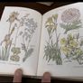 The Complete Readers Digest Library of the Garden in three volumes Image 6