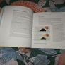 The Glucose Goddess Method Image 4