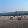 Straw bales Image 2