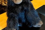 Ty Classic Baby George Gorilla  Vintage 1995