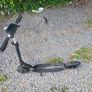 Electric scooter kugoo s1 Image 4