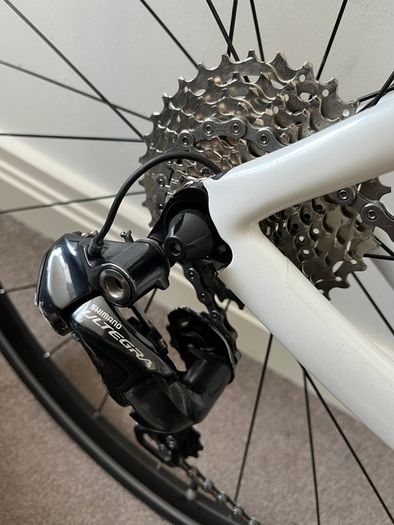 Fuji (full carbon, Ultegra Di2)