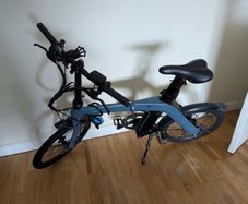 Fiido D11 Electric Bike ebike