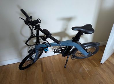 Fiido D11 Electric Bike ebike