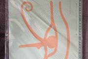 Alan Parsons Eye in the Sky Mofi 45rpm x2 new