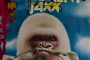 2001 Basement jaxx Rooty 12" vinyl