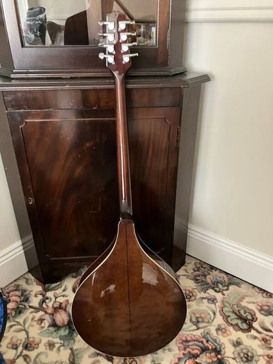 Irish Bouzouki