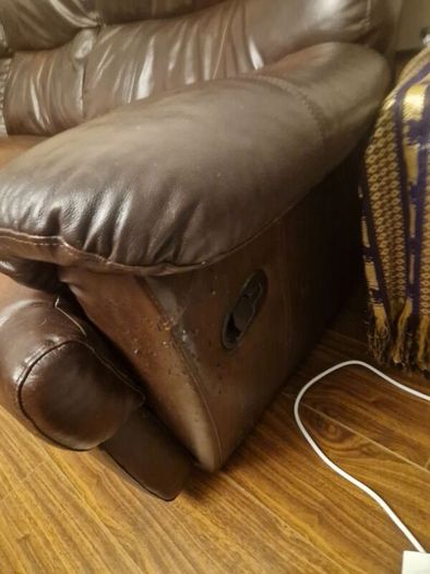 Free Leather Sofa