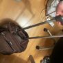 Small suitcase Cloe Image 5